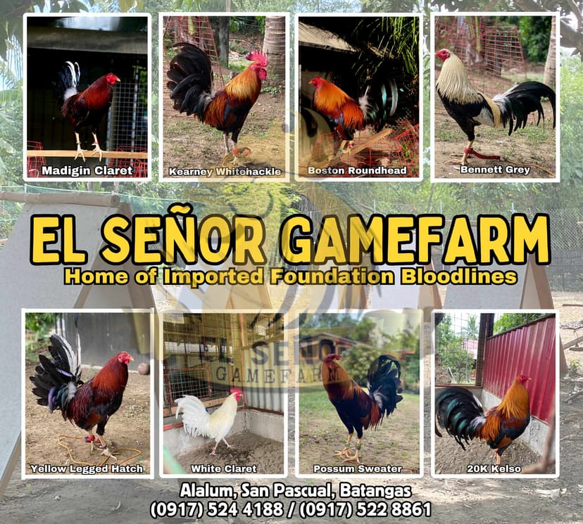 El Señor GameFarm farm