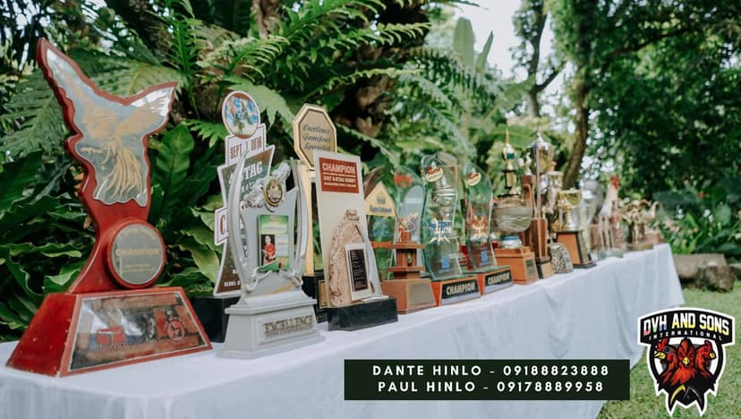 DVH and Sons Gamefarm farm