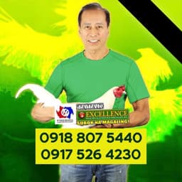 Leandro "Biboy" Enriquez